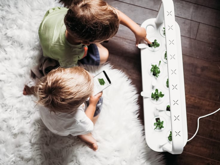 Click and Grow Smart Garden startsæt, hvid