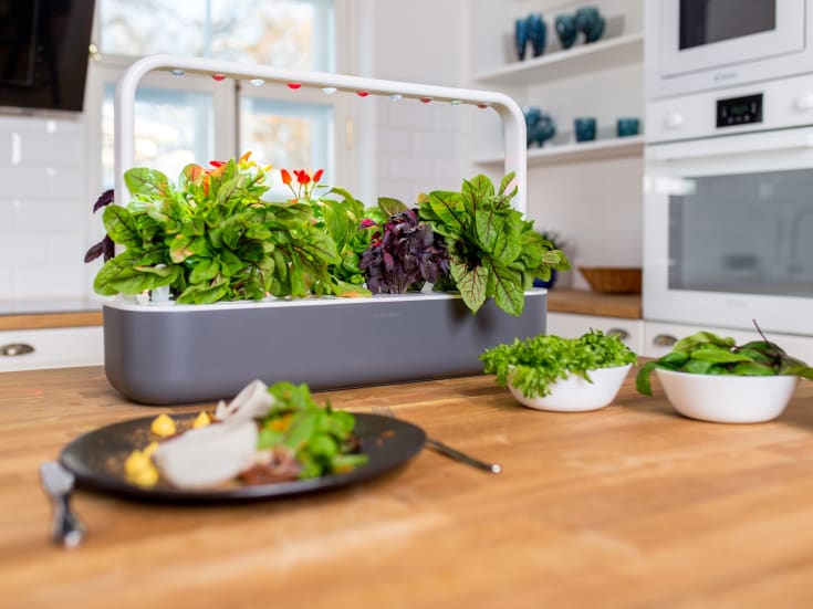 Click and Grow Smart Garden startsæt, grå