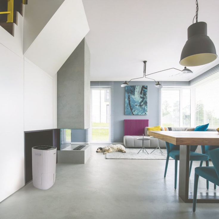 Eeese Adam avfuktare, appstyrd, 20 liter/dygn, 70 m²