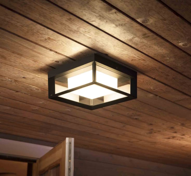 Philips Hue Econic udendørs loft- & væglampe