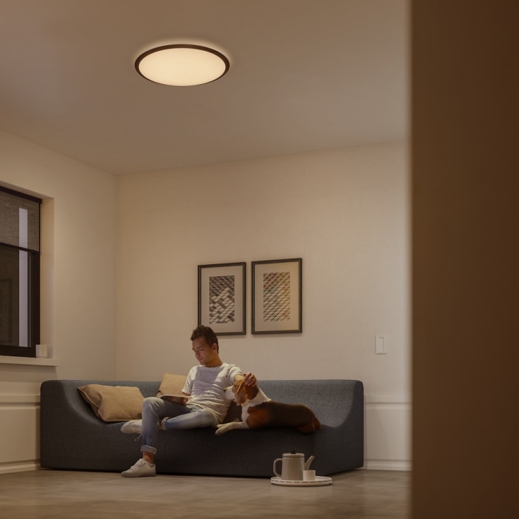 Philips myLiving Cavanal plafond, 4000K