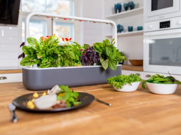 Click and Grow Smart Garden startsæt, hvid
