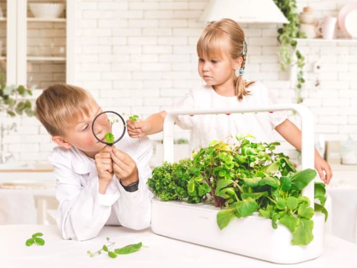 Click and Grow Smart Garden startsæt, hvid
