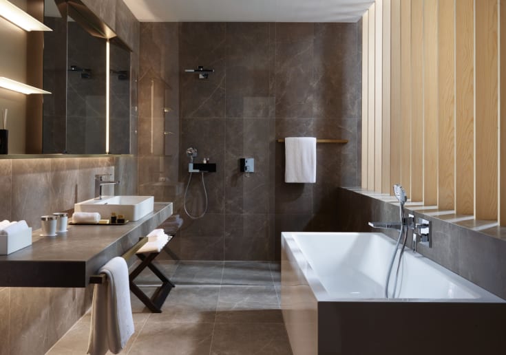 Hansgrohe Raindance E brusehoved, 30x30 cm, krom