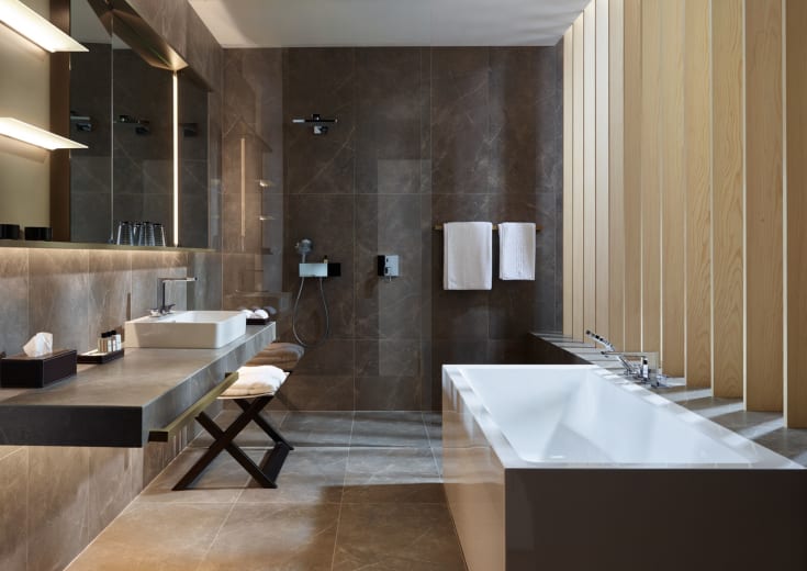 Hansgrohe Raindance E brusehoved, 30x30 cm, krom