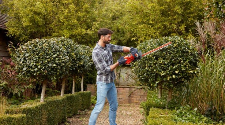 Black &amp; Decker hekksaks, 50 cm, 230 volt