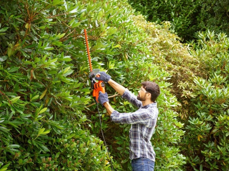 Black &amp; Decker hekksaks, 50 cm, 230 volt