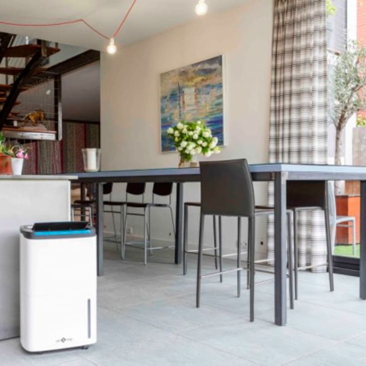 Air&Me Rohan affugter, 50 liter, appstyret, 200 m²