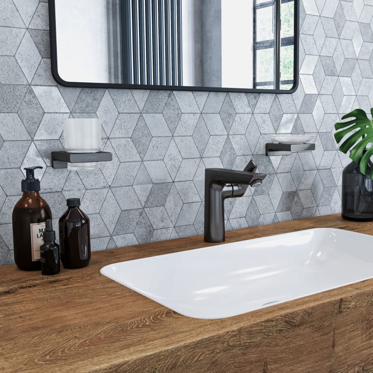 Hansgrohe AddStoris tannbørsteholders, børstet sort krom