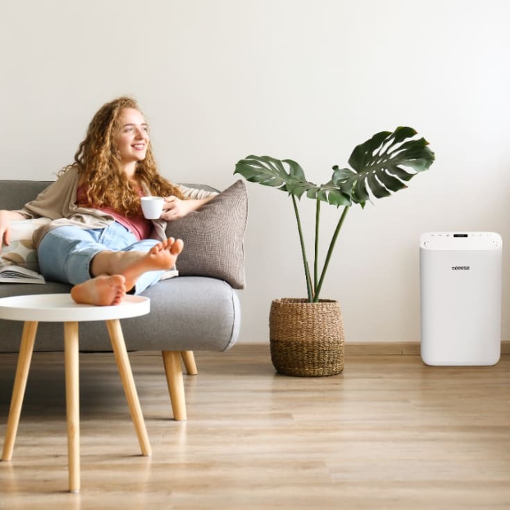 Eeese Otto avfuktare, appstyrd, 13 liter/dygn, 60 m²