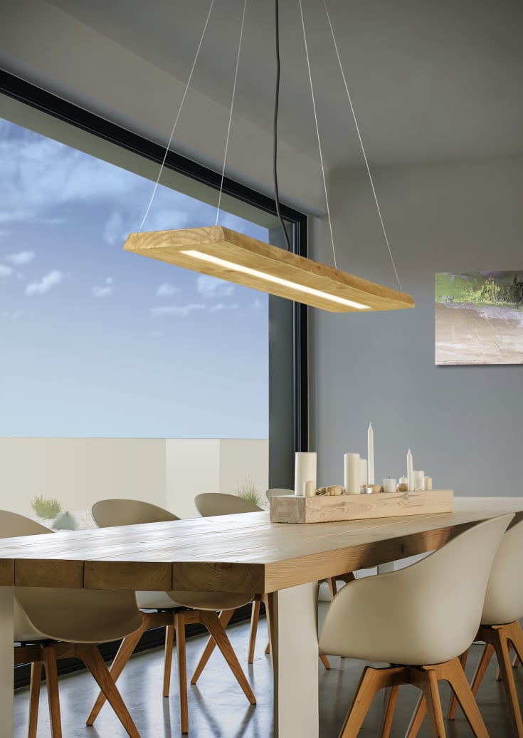 Trio Lighting Brad pendellampa