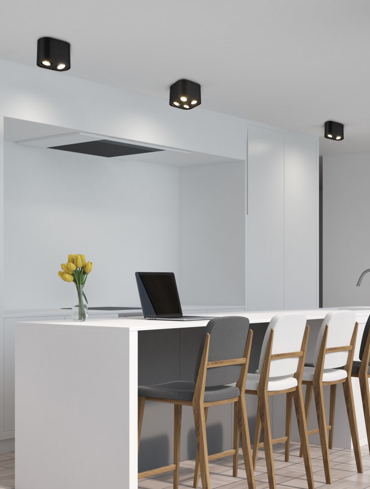 Trio Lighting Cookie downlight, 2 downlights, svart