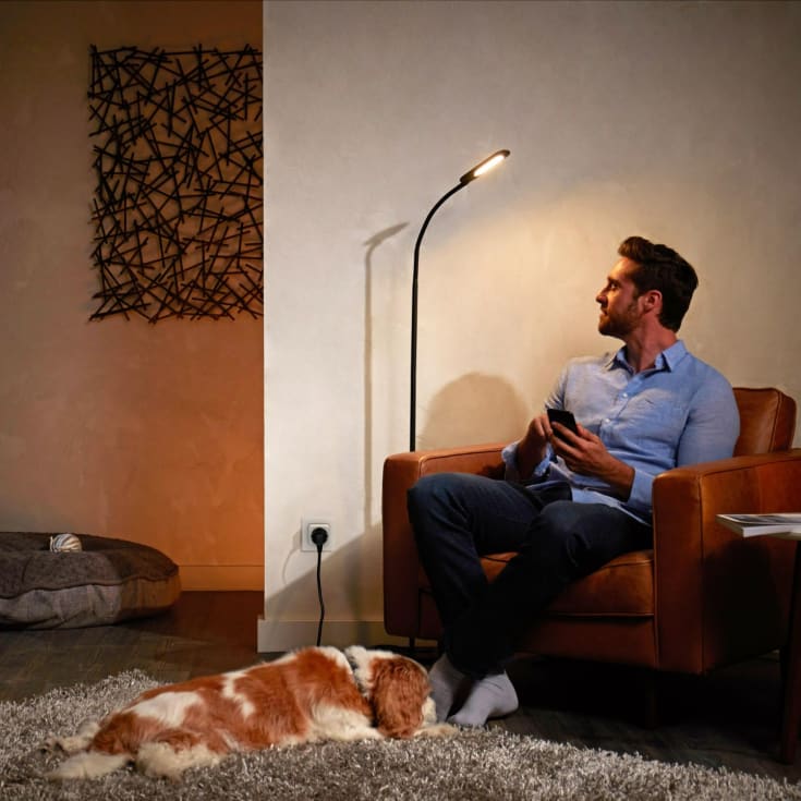 Philips Hue Smart Plug, 2 pack