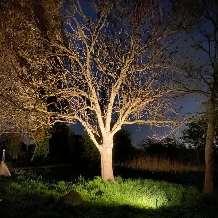 Light By Juul Juulie bedlampe, 3W