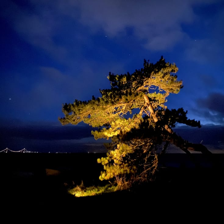 Light By Juul Juuliane nedgravningsspot