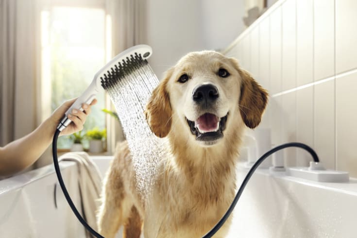Hansgrohe DogShower hundebruser, vandbesparende, mat hvid