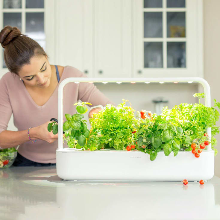 Klicka och odla Smart Garden 9 Pro Starter Kit