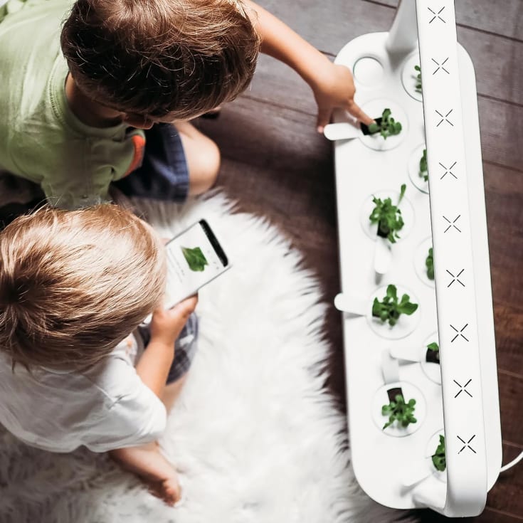 Click and Grow Smart Garden Pro startsæt, hvid