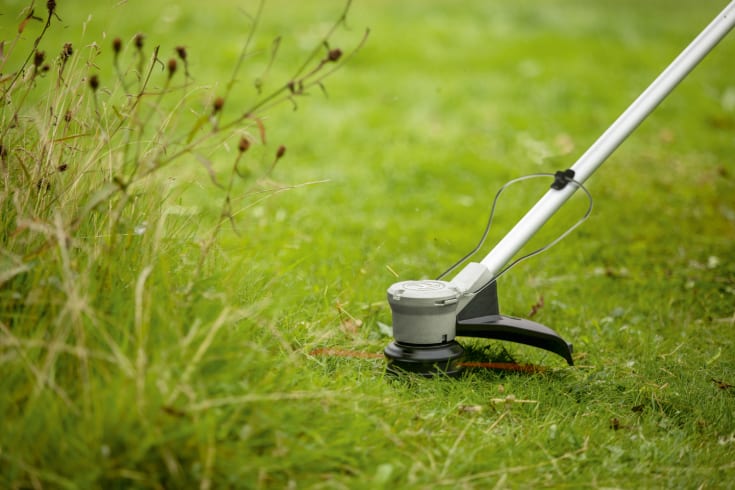 Bosch Home & Garden Adv. Græstrimmer 33cm u. batteri - 36V
