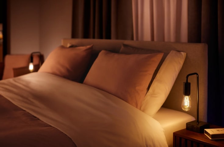 Philips Hue White E27 edisonlampa, Ø6,4 cm