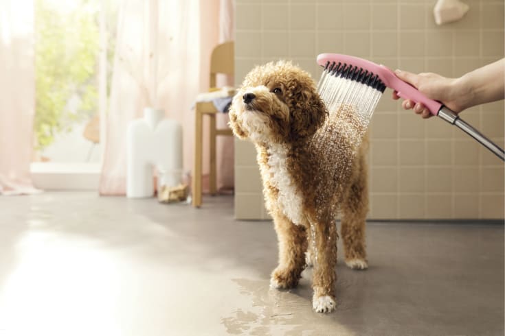 Hansgrohe DogShower hånddusj, vannbesparende, lyserød