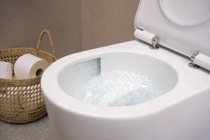 Hansgrohe EluPura S 540 vägghängd tolaett, utan spolkant, rengöringsvänlig, vit