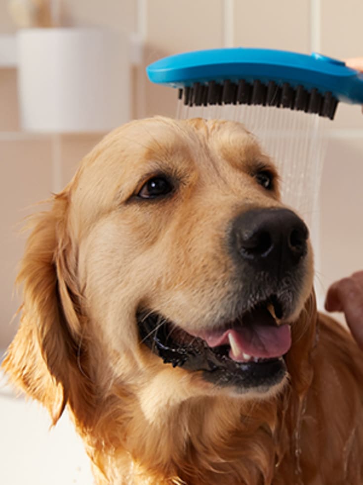 Hansgrohe DogShower hunddusj, vannbesparende, blå