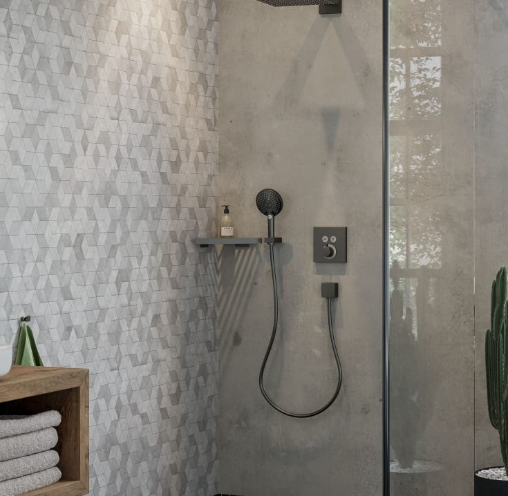 Hansgrohe Porter E handduschhållare, borstad svart krom
