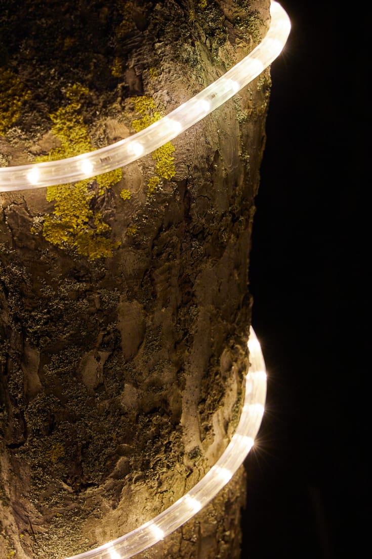 Za-Za Twilight Rope Light udendørs lyskæde, 45 meter