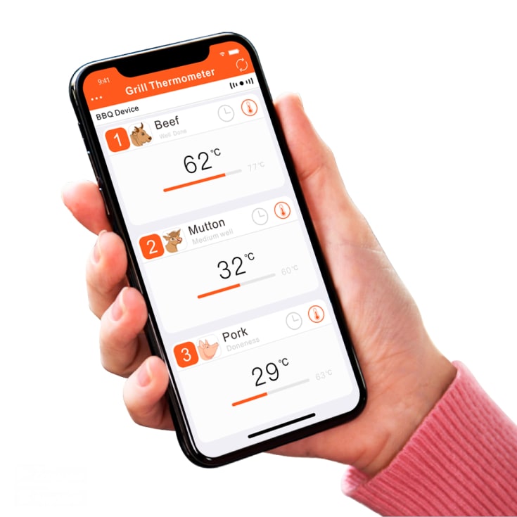 Grill'n'Go Master 5.0 stegetermometer
