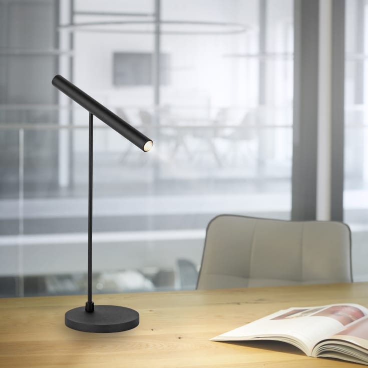 Paul Neuhaus Pure Tutua bordlampe