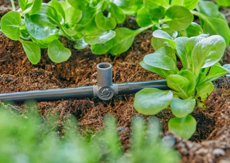 Gardena micro-drip T-stykke for spraydyse 4,6 mm, 5 stk