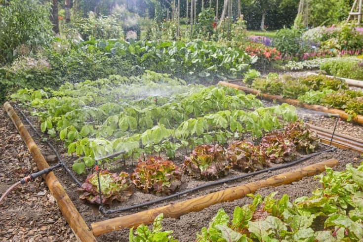 Gardena Micro-Drip-System grönsaks-/blomsterbäddset (60m2)