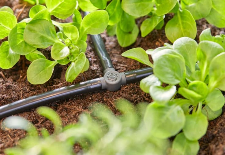 Gardena Micro-Drip-System T-stycke 4,6 mm (3/16")