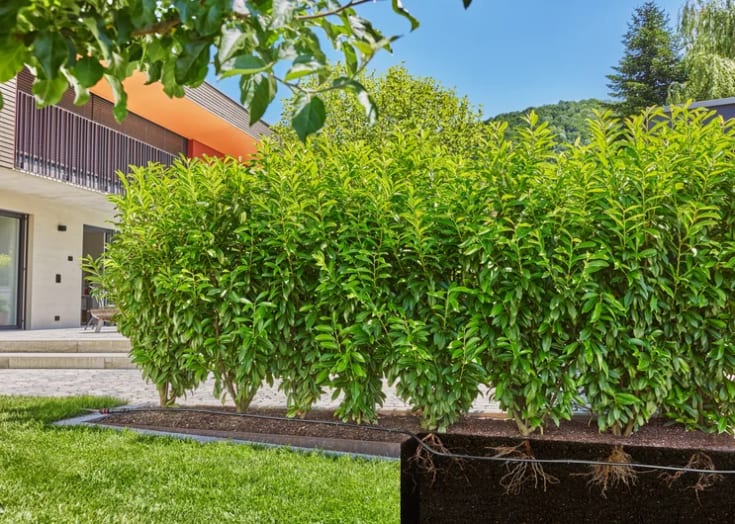 Gardena Micro-Drip-System hekk-/busksett (25 m)