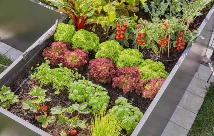 Gardena Micro-Drip-System høybedssett (35 planter)