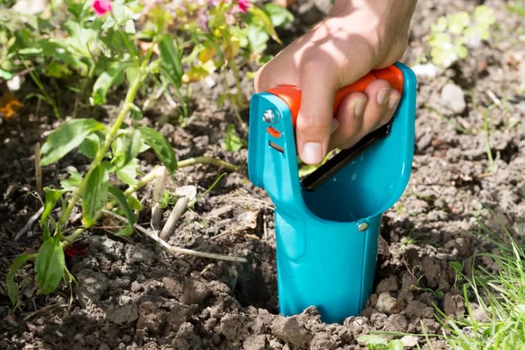 Gardena løkplanter