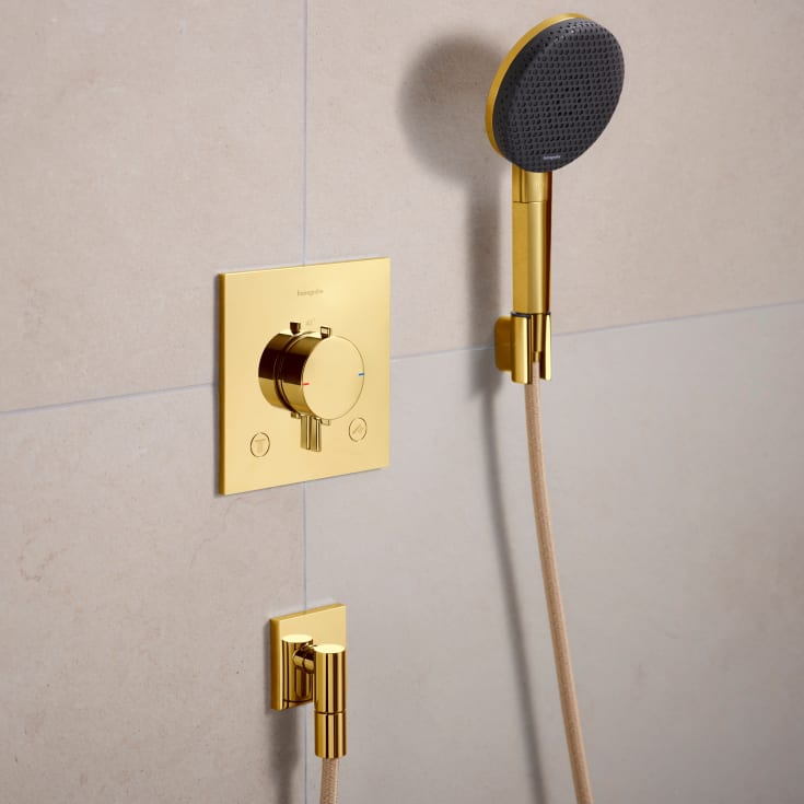 Hansgrohe FixFit Fine E slangeudtag, poleret guld