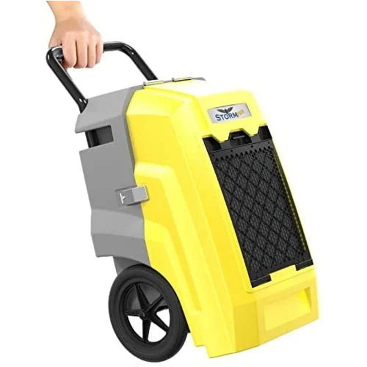 Arida Storm Pro affugter, appstyret, 70 liter/døgn