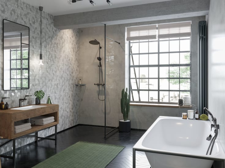 Hansgrohe Raindance Select S 120 hånddusj, børstet sort krom