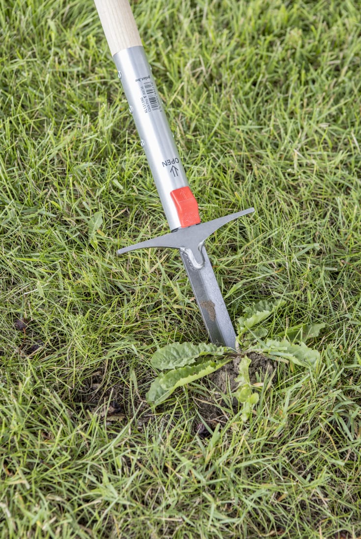 Polet Click-Pro ukrudtsfjerner