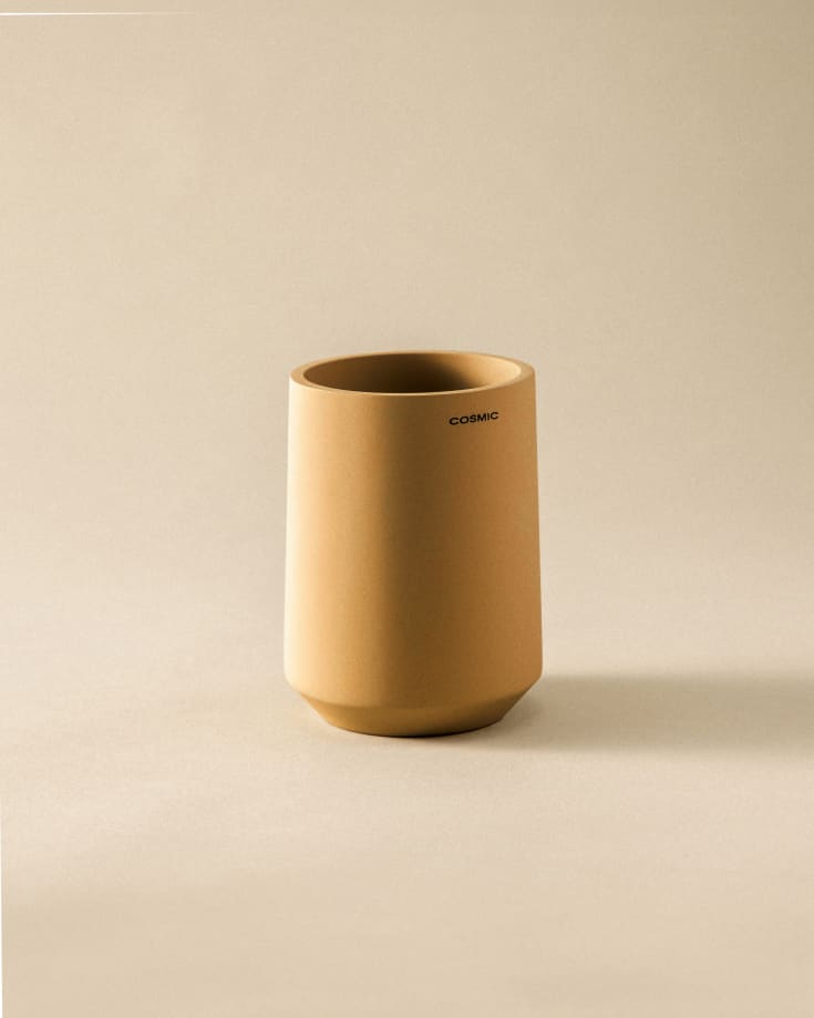 Cosmic Saona tandborstmugg, orange