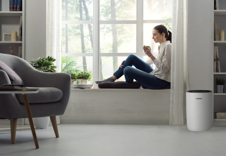 Eeese Emil avfuktare, 10 liter/dygn, 40 m²