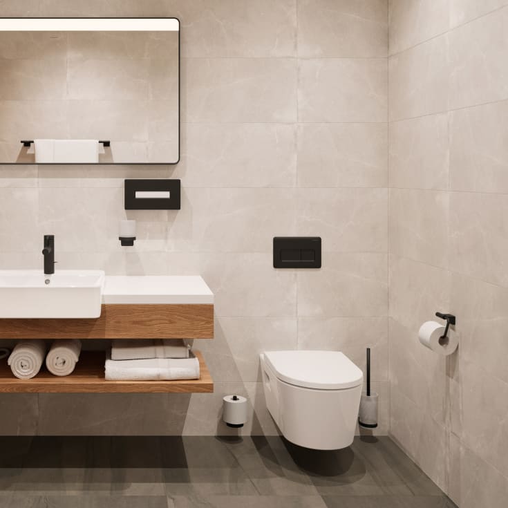 Hansgrohe AddStoris S toiletbørste, mat sort