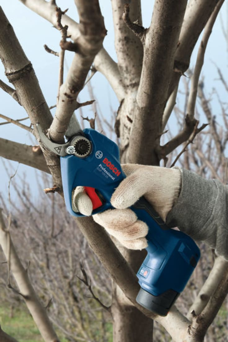 Bosch akku beskærersaks GGP 12V-25, solo