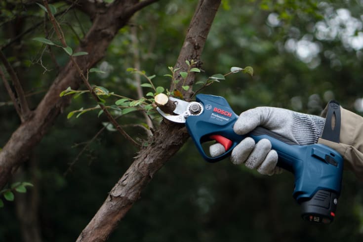 Bosch akku beskærersaks GGP 12V-25, solo