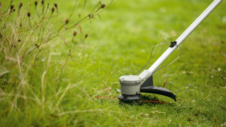 Bosch Home & Garden Adv. Græstrimmer 33cm m. 1 x batteri - 36V/2,0Ah