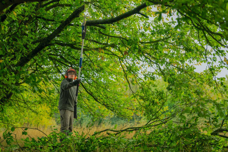 Bosch kædesav teleskop GKE 18V-25TP, solo