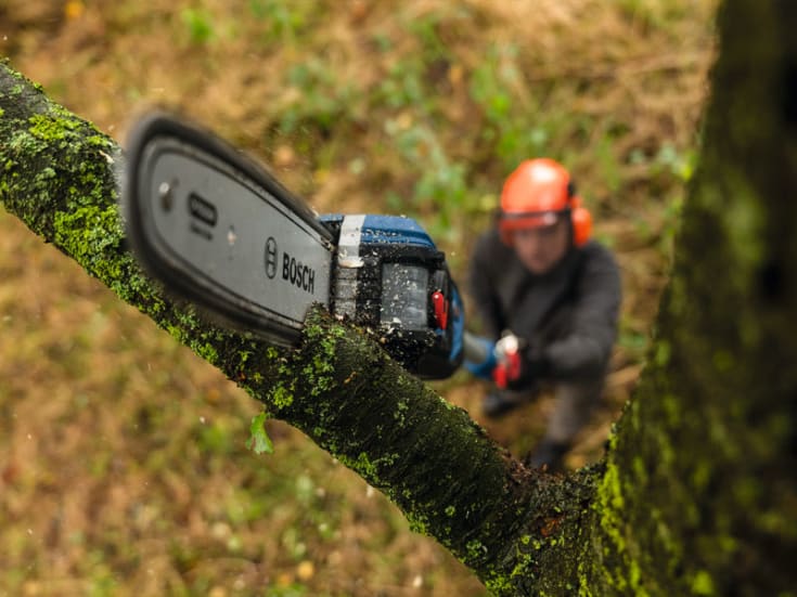 Bosch kjede til motorsag, 25 cm