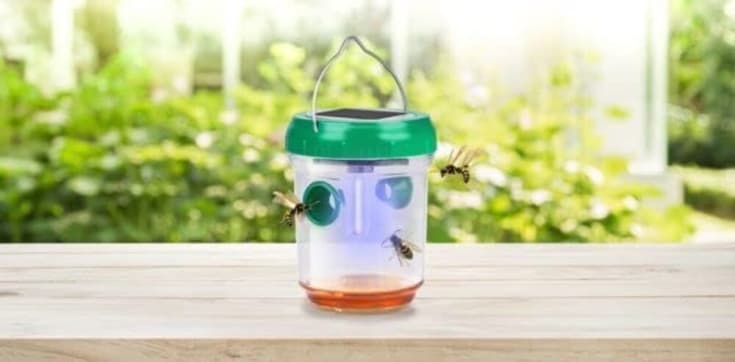 Grundig getingfälla, 3-pack, solcell, transparent/grön